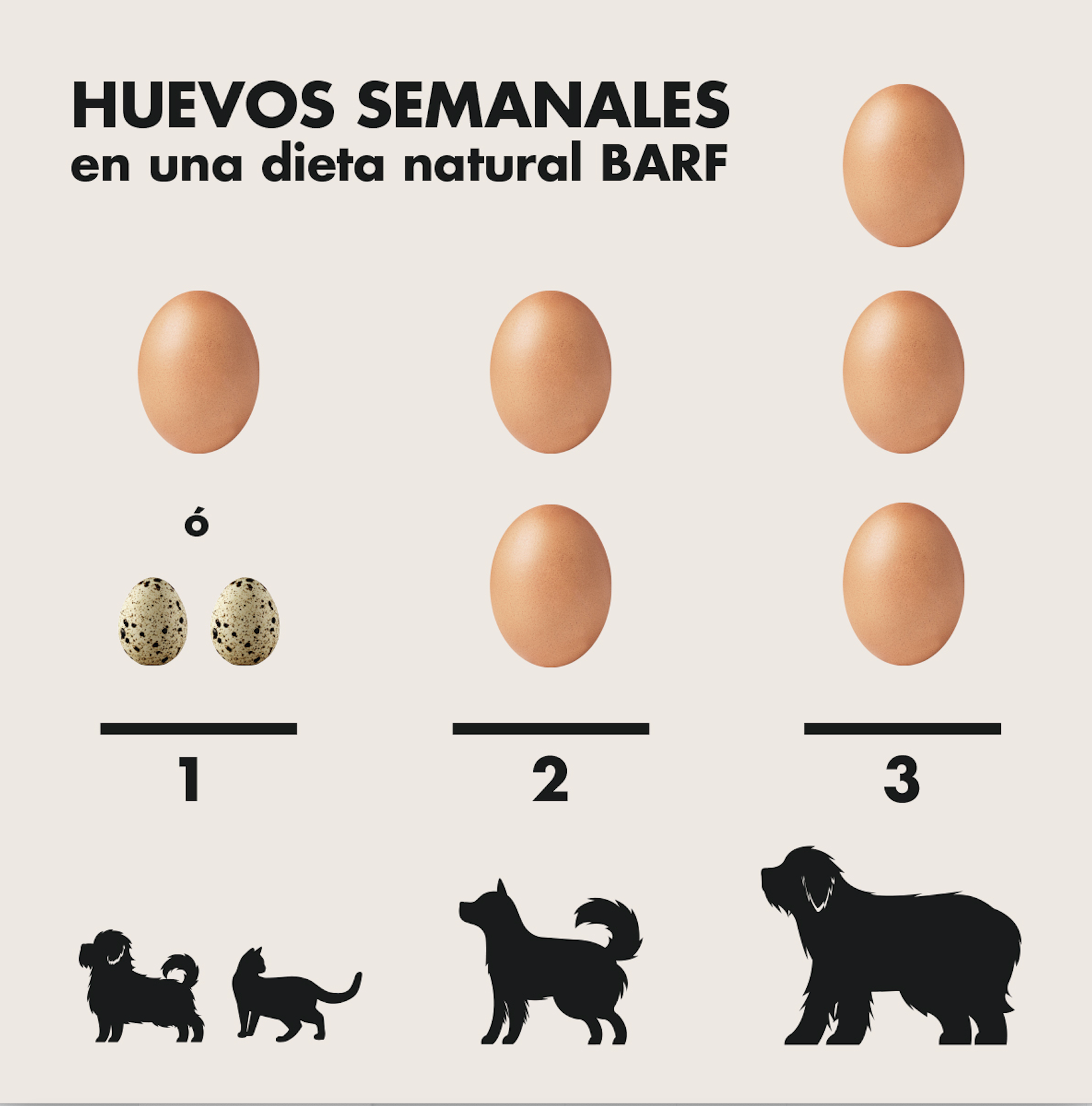 cuanto-huevo-pueden-comer-perro