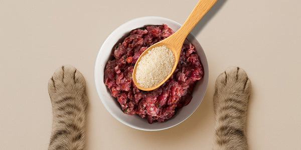 probioticos-para-gatos