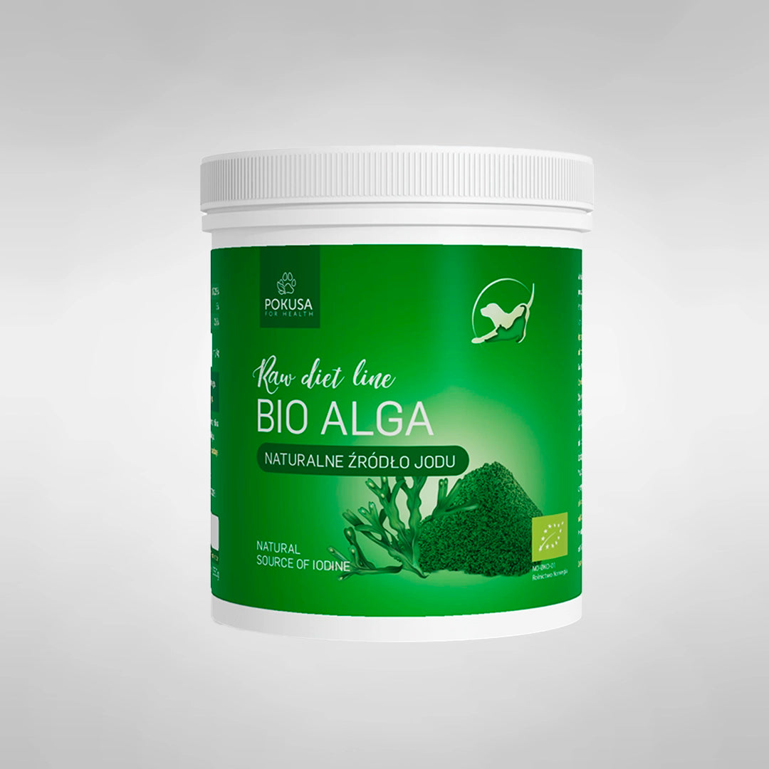 Alga bio kelp para reducción del sarro