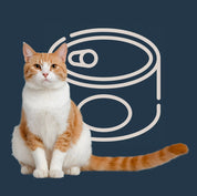 Menú semanal de comida húmeda para gato
