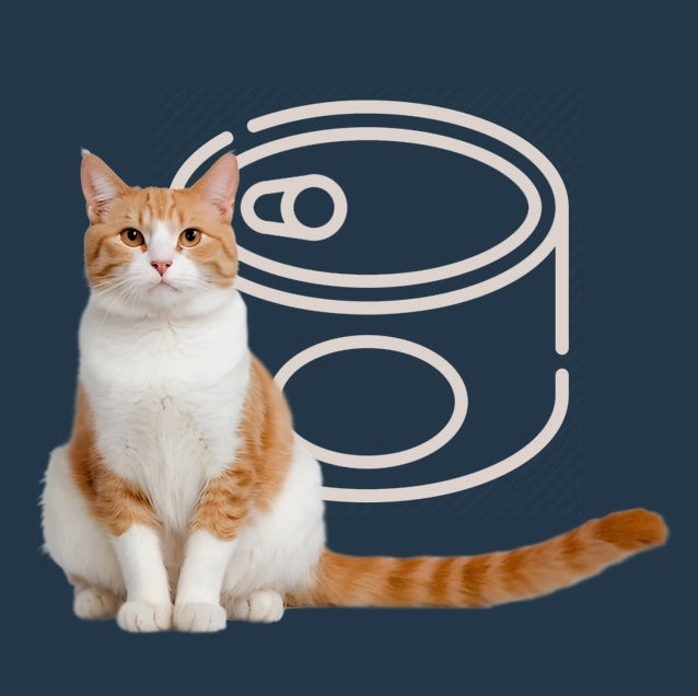 Menú semanal de comida húmeda para gato