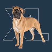 Menú semanal barf para perro xl