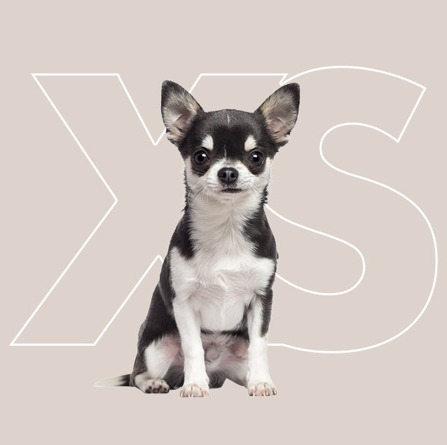 Menú semanal barf para perro mini