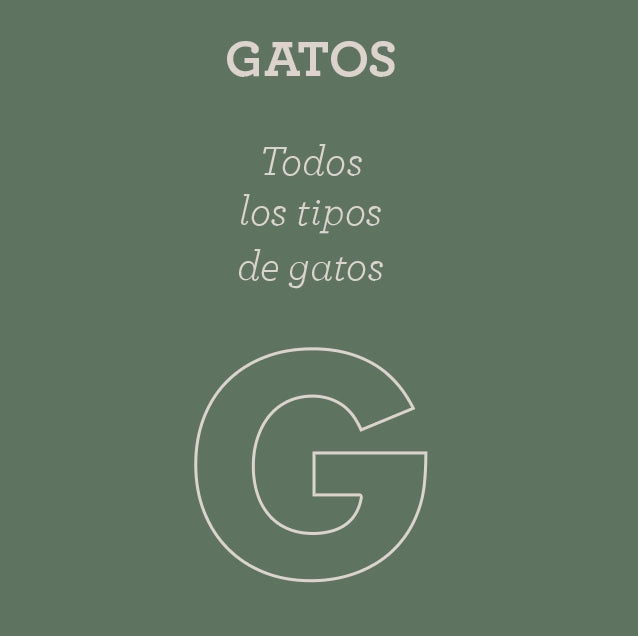 Comprar menú semanal para gato