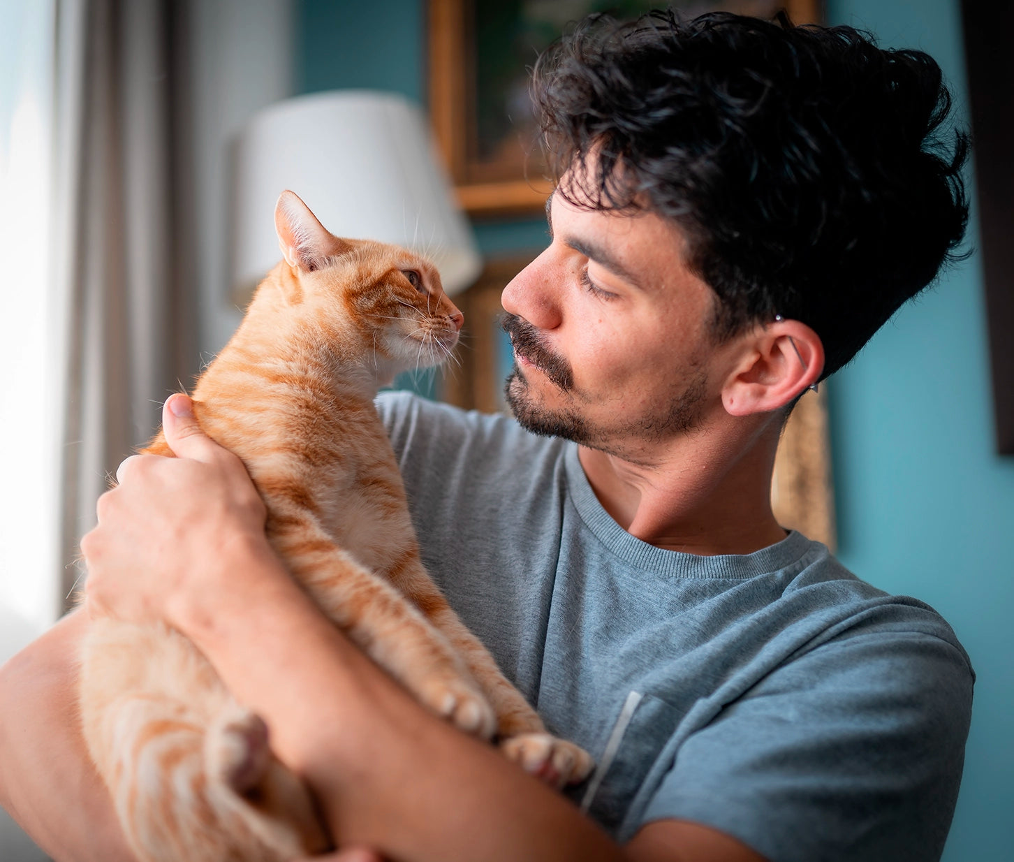 comida-gatos