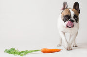 Menú semanal barf para perro de 8 a 14 kg