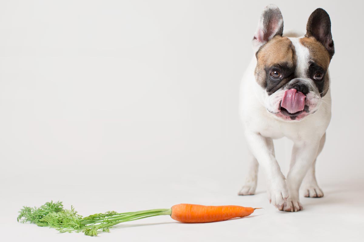Menú semanal barf para perro de 8 a 14 kg