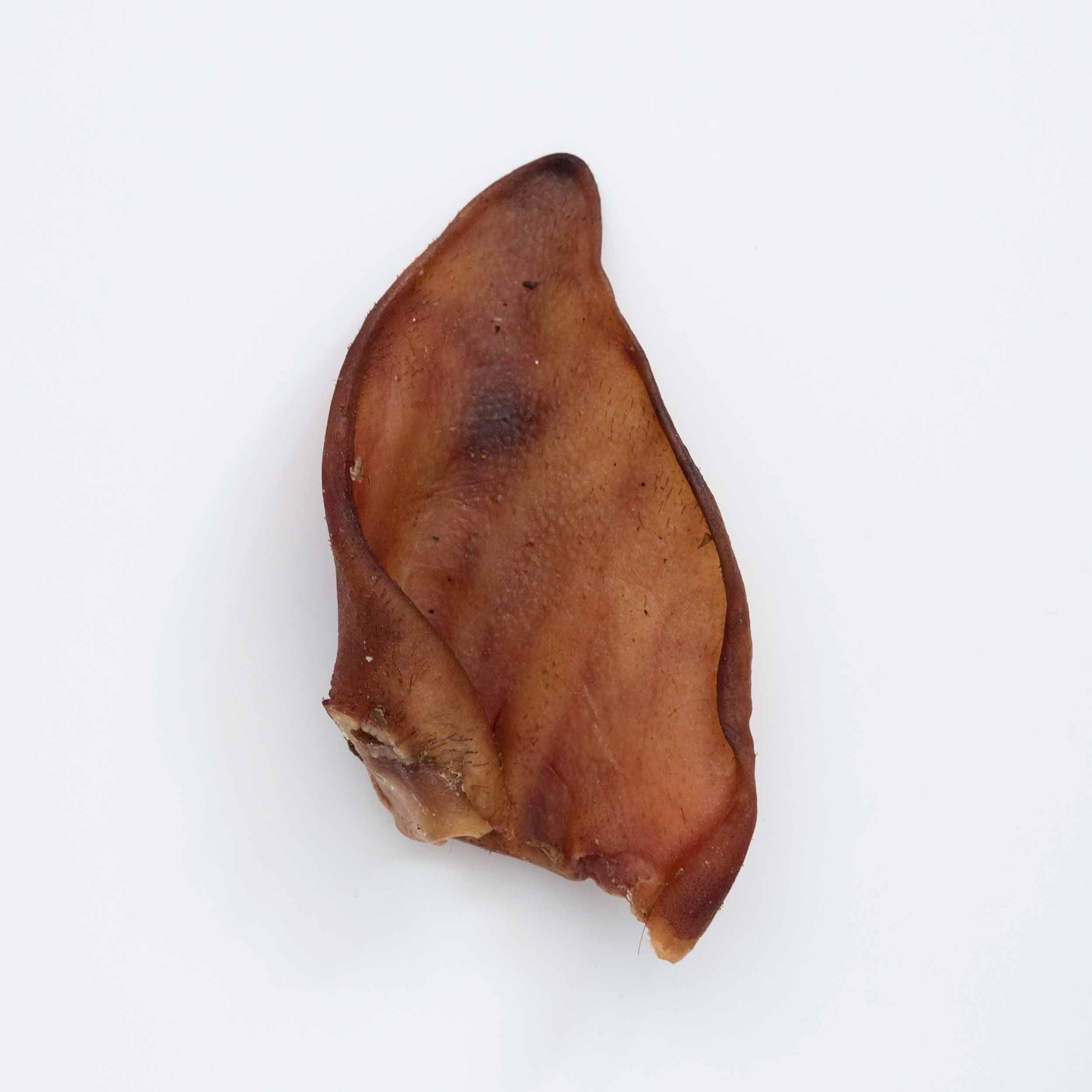 Snack para perro oreja de cerdo deshidratada