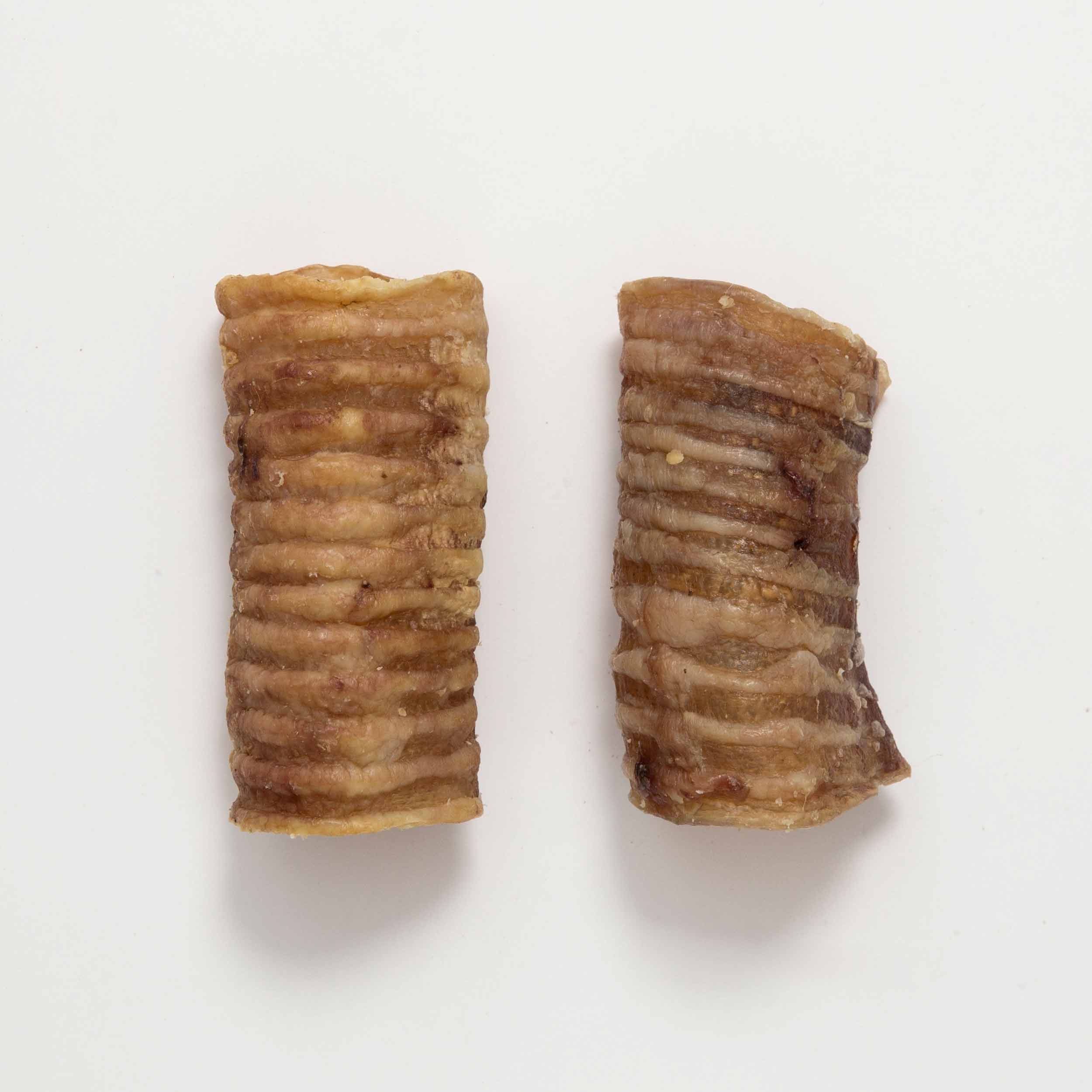 Snack para perro de tráquea de ternera deshidratada
