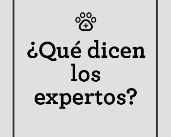 QUE-DICEN-EXPERTOS-BARF