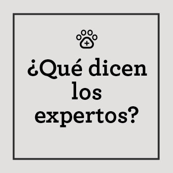 QUE-DICEN-EXPERTOS-BARF