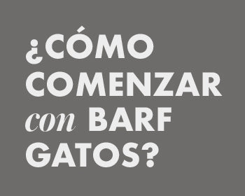 como-comenzar-barf-gatos