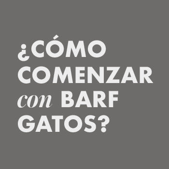 como-comenzar-barf-gatos