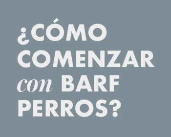 como-comenzar-barf-perros