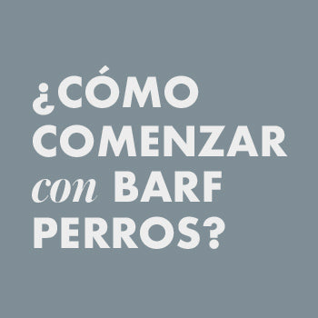 como-comenzar-barf-perros