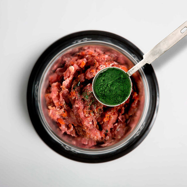 menu barf con espirulina