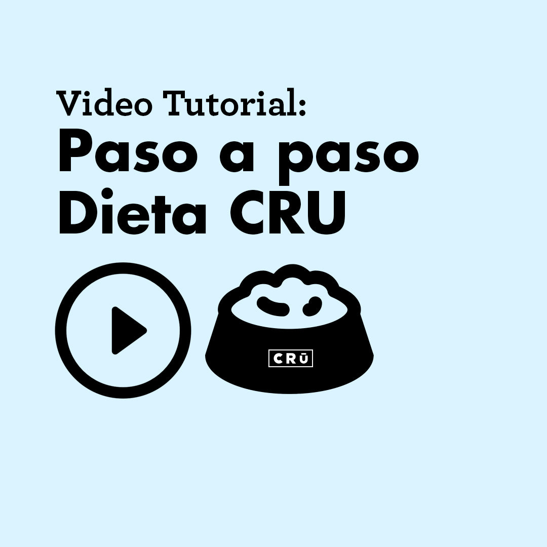 entrada-tutorial-cru