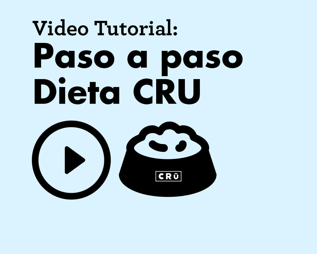 entrada-tutorial-cru