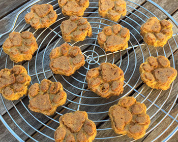 galletas-calabaza-perro