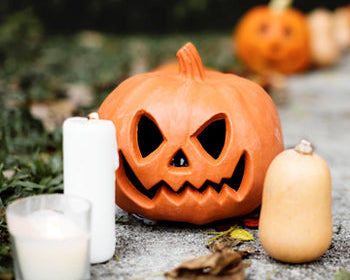 halloween para mascotas