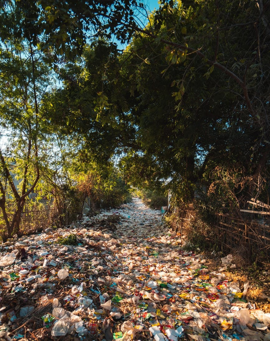 Plástico en la naturaleza