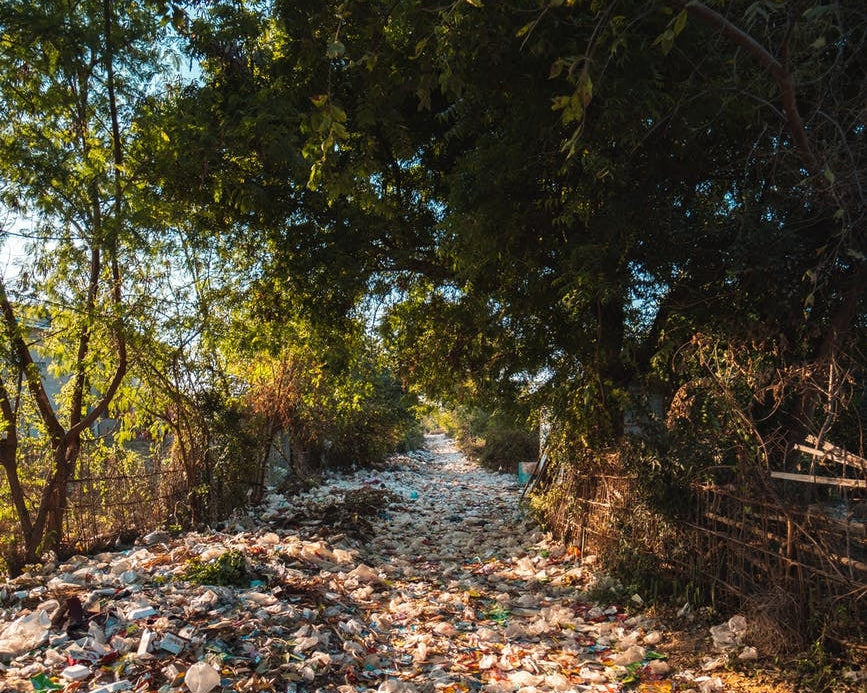 Plástico en la naturaleza