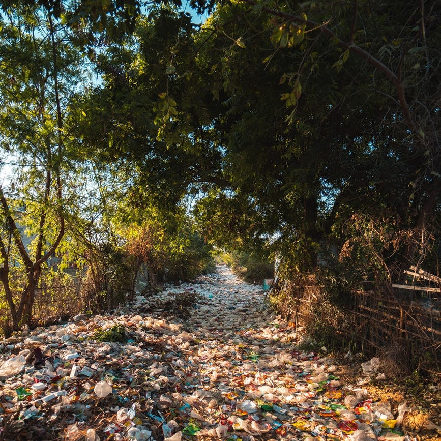 Plástico en la naturaleza