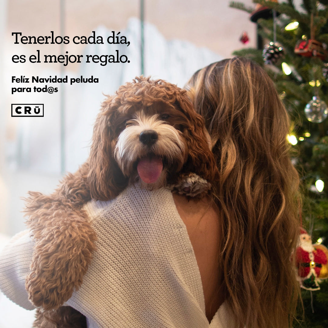 Navidad con Perros y Gatos: Guía CRU para unas Fiestas Seguras y Saludables