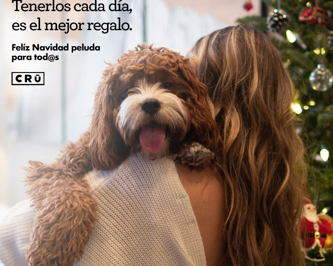 Navidad con Perros y Gatos: Guía CRU para unas Fiestas Seguras y Saludables