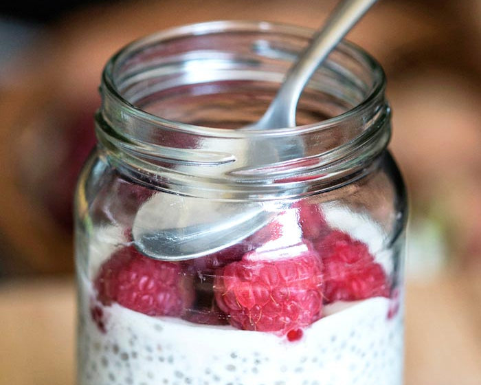 pudding chia para perros