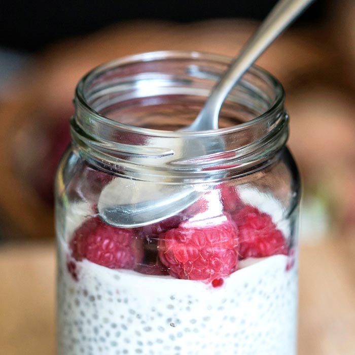 pudding chia para perros