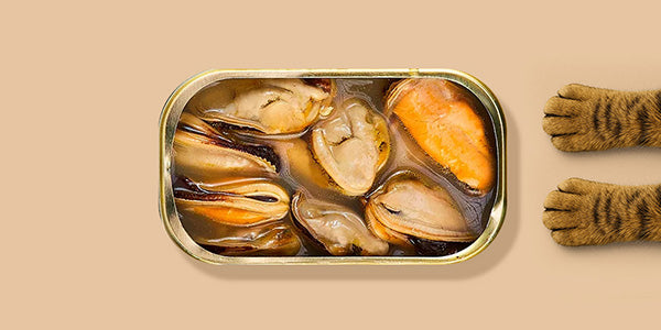 conservas-de-pescado-para-gatos