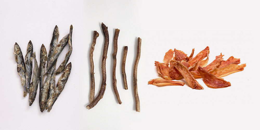 snacks-deshidratatos-para-gatos