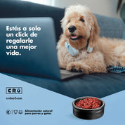 Asesoría nutricional Online - 60 min + seguimiento por email