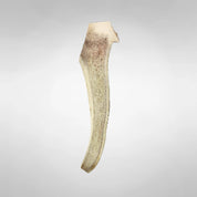 Split Deer Antler Dog Chew