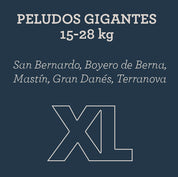 Plan de suscripción XL