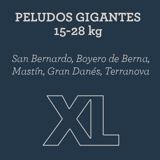 Plan de suscripción XL