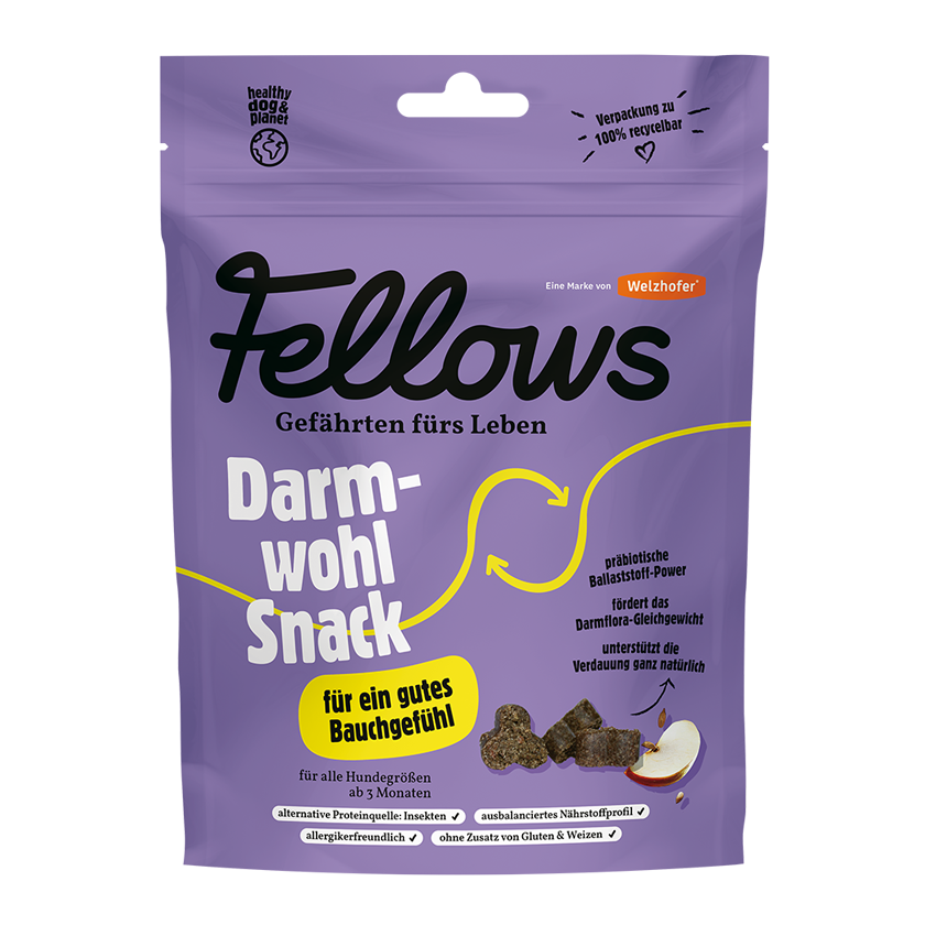 Snack-digestivo-insecto-perro.png