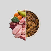 Comida deshidratada de pavo para perro