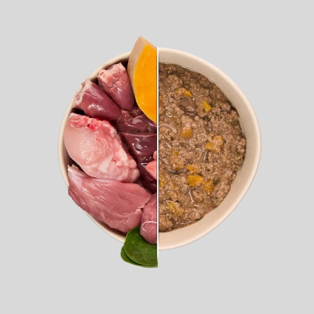 Comida Húmeda Completa con Conejo, Pavo y Verduras para Perro