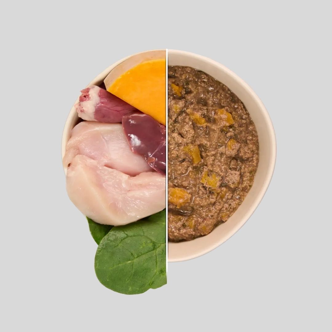 Comida Húmeda Completa con Pollo y Verduras para Perro