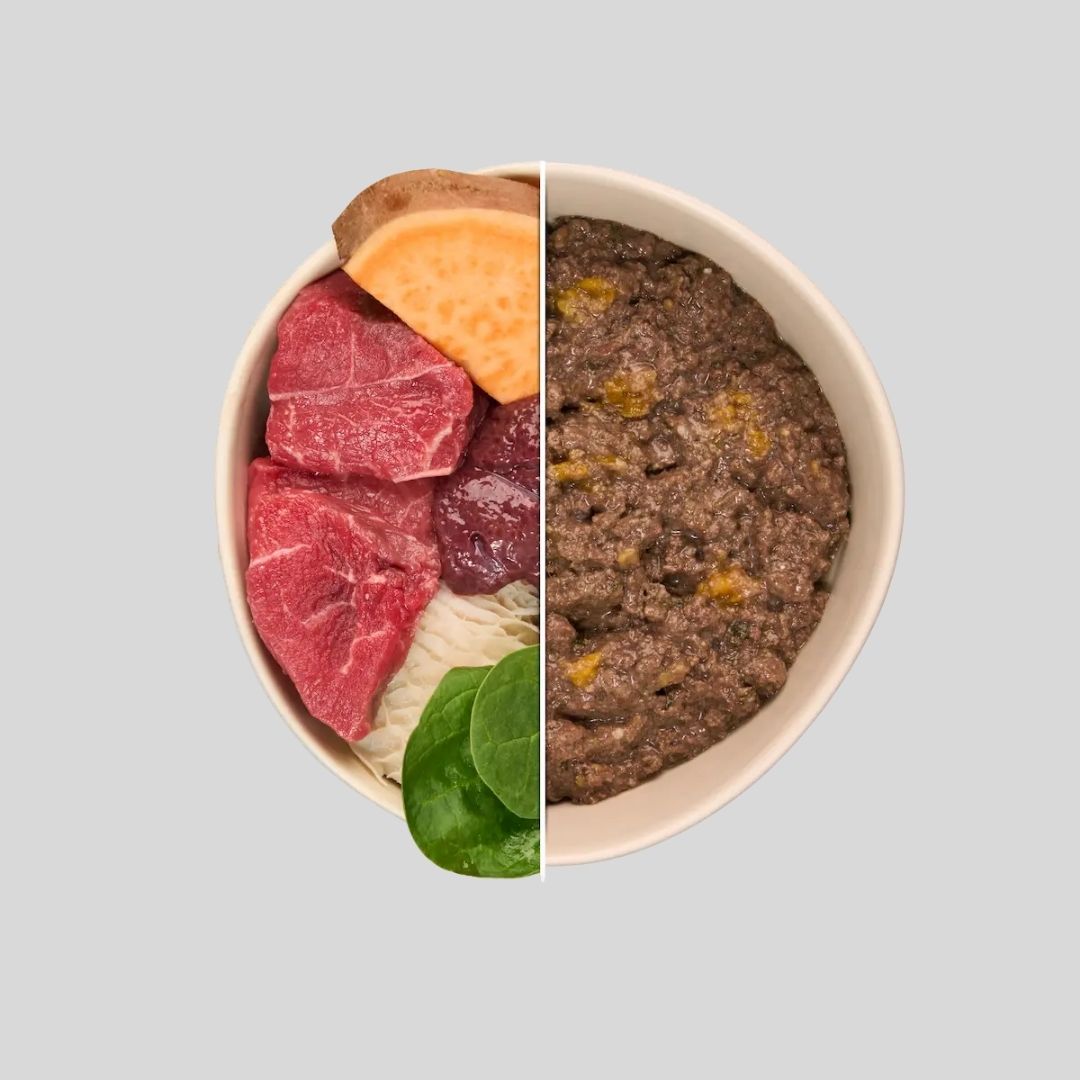 Comida Húmeda Completa con Ternera y Verduras para Perro