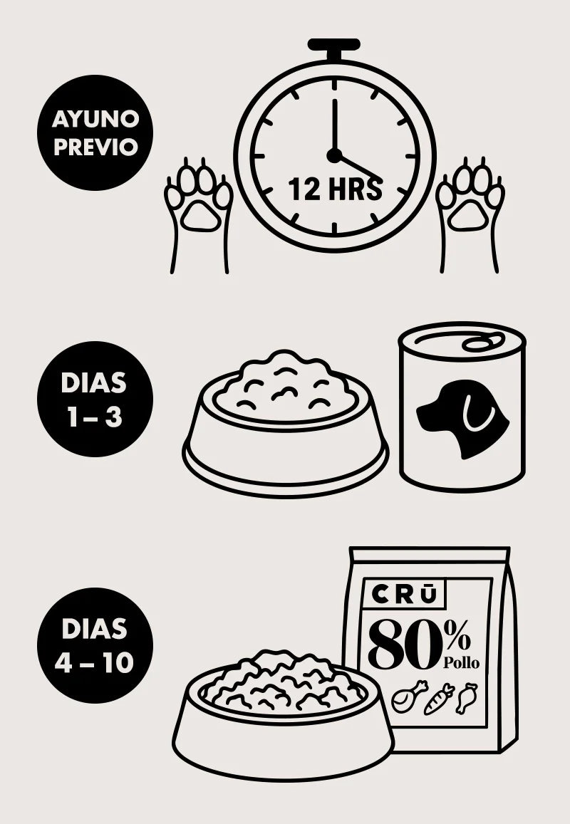 como empezar la dieta barf para perros