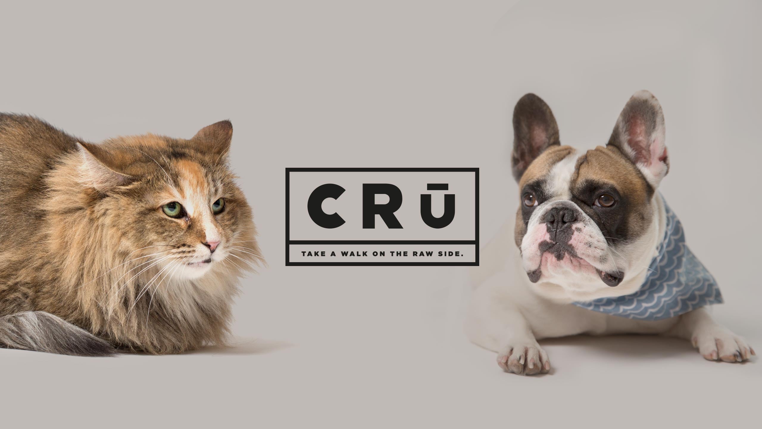 mascotas-de-crubarf