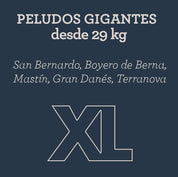 menu-para-perros-xl