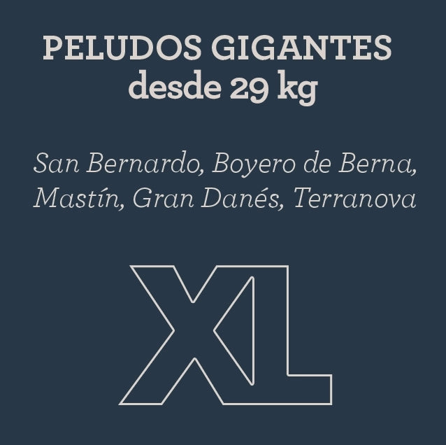 menu-para-perros-xl