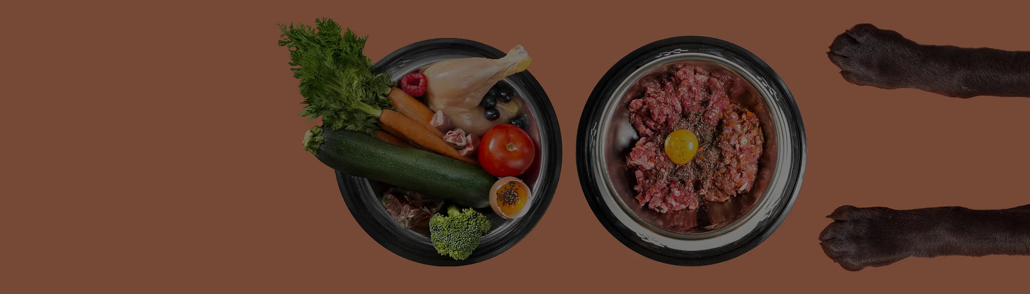 primeros pasos dieta barf perros