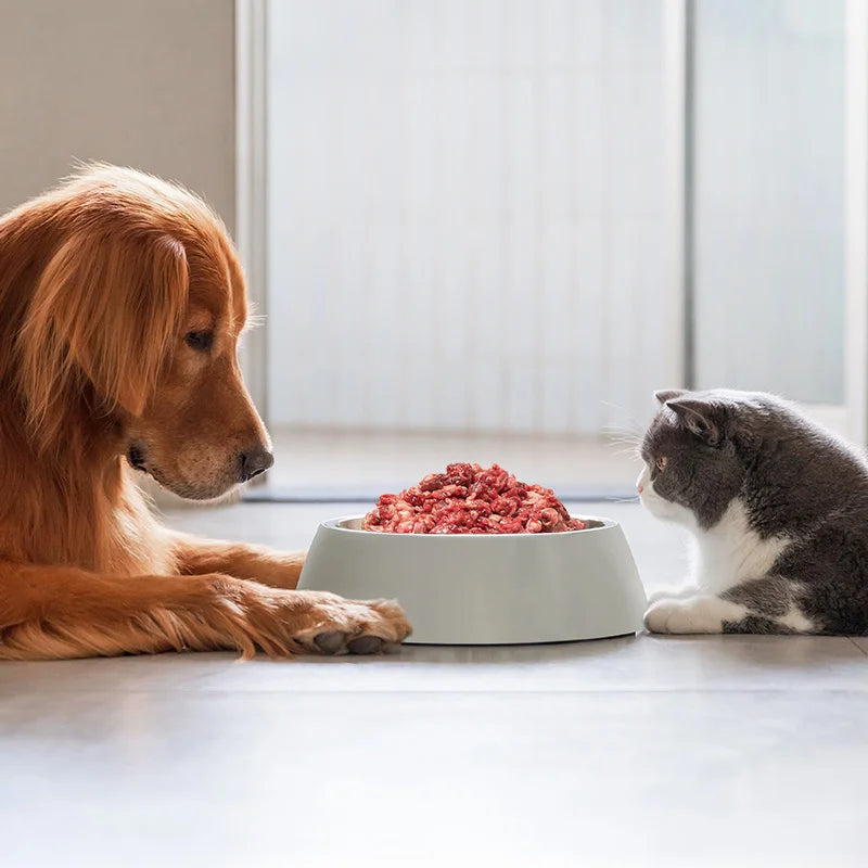 que es dieta barf para perros y gatos