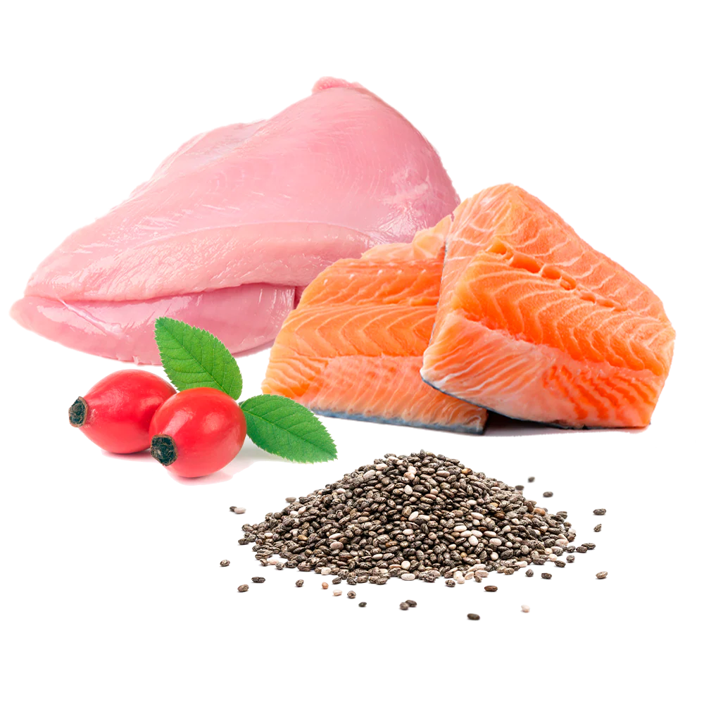 Sobre de Comida Cocinada BIO para gato - Pavo y Salmón 100% natural