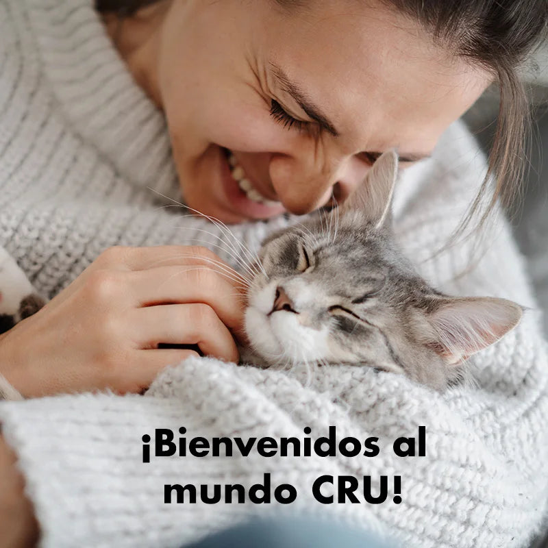 transicion a dieta barf en gatos